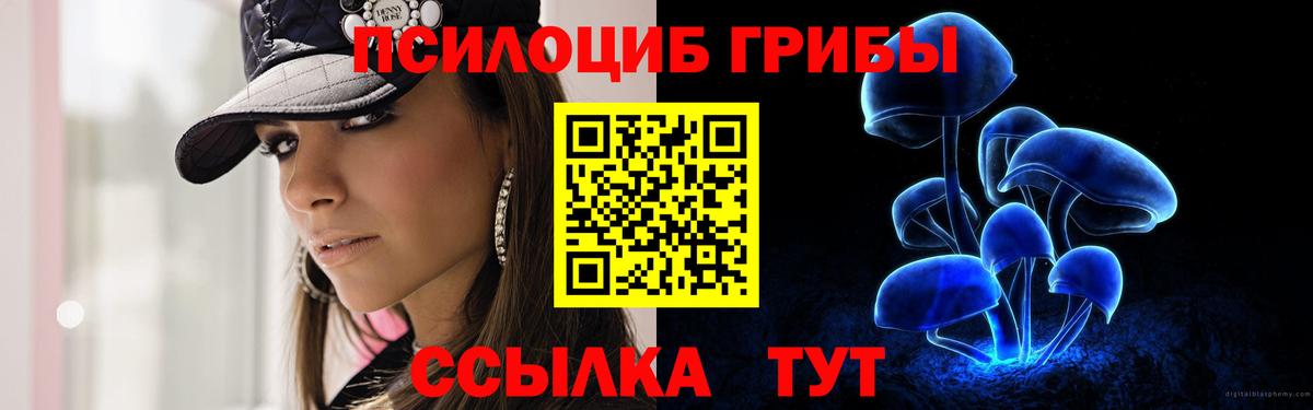 Псилоцибиновые грибы Psilocybine cubensis  Вход с VPN  Кинель  где продают наркотики  Галлюциногенные грибы MAGIC MUSHROOMS 